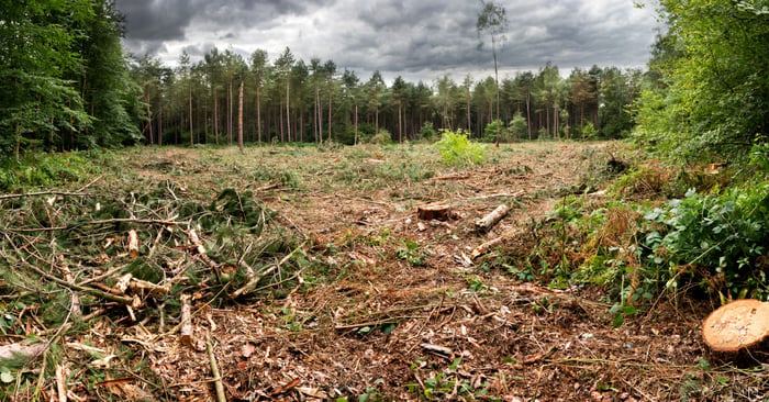 10 Tips for Sustainable Printing