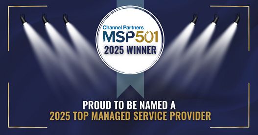 MSP 501 2025 Winner
