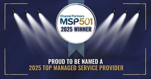 MSP 501 2025 Winner
